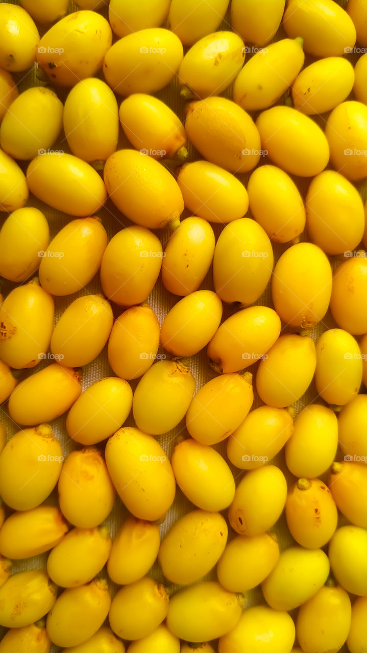 Neem seeds - close up view, can be used as a background