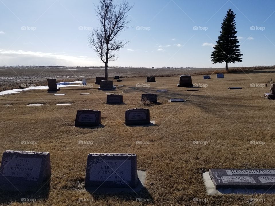 Old graveyard