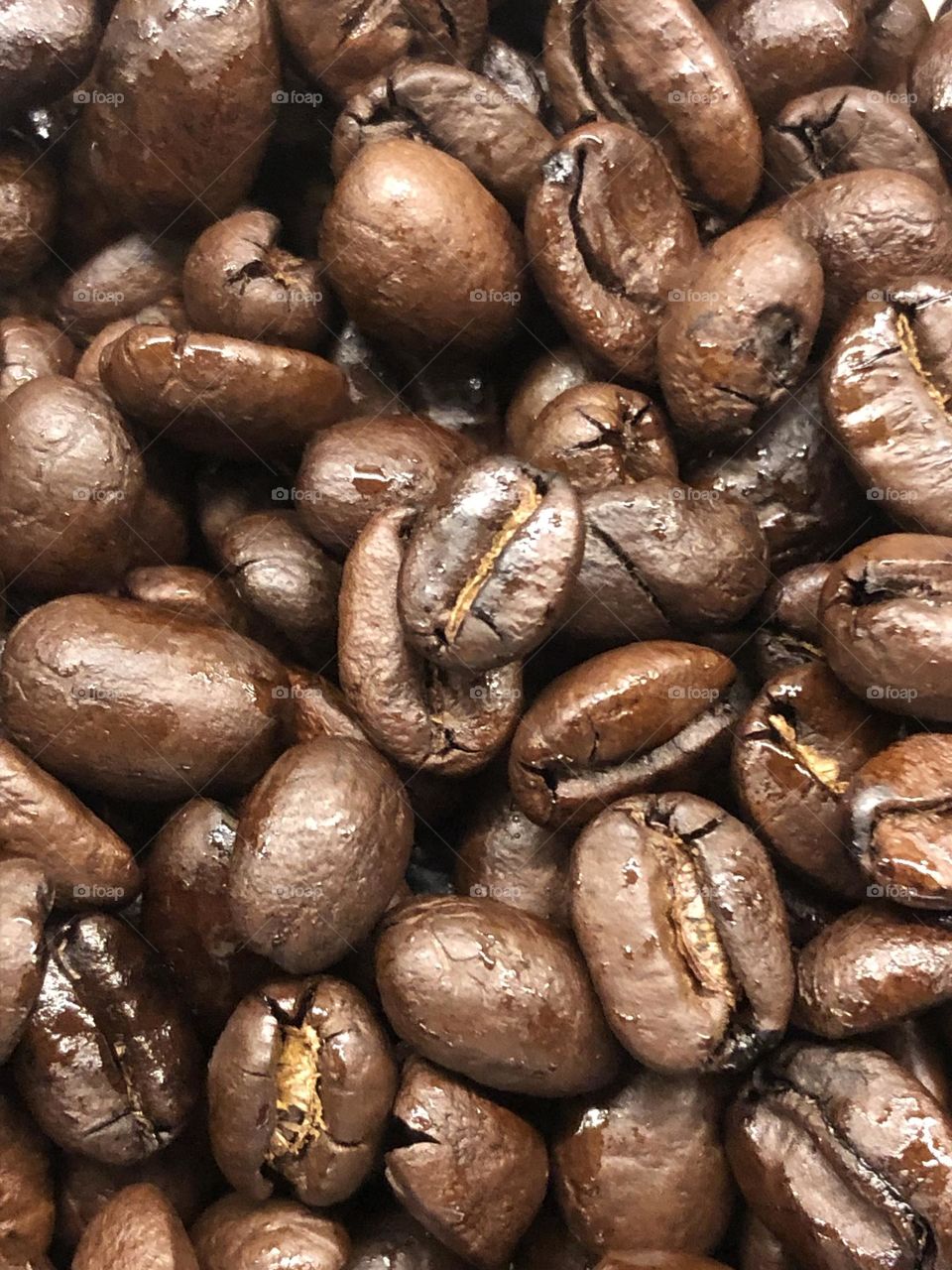 Our grocery store in Texas finally had coffee beans back in stock, and I couldn’t help but take their photo when they were put in the grinder! ☕️