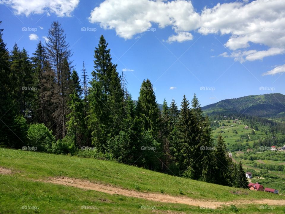 Carpathian mountains landscape