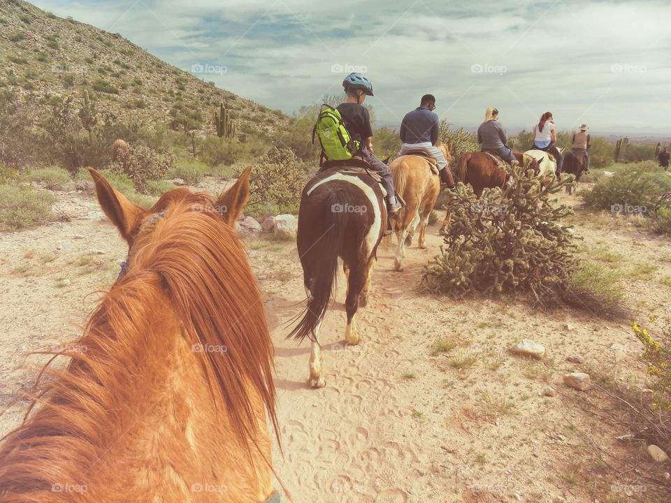 horseback riding