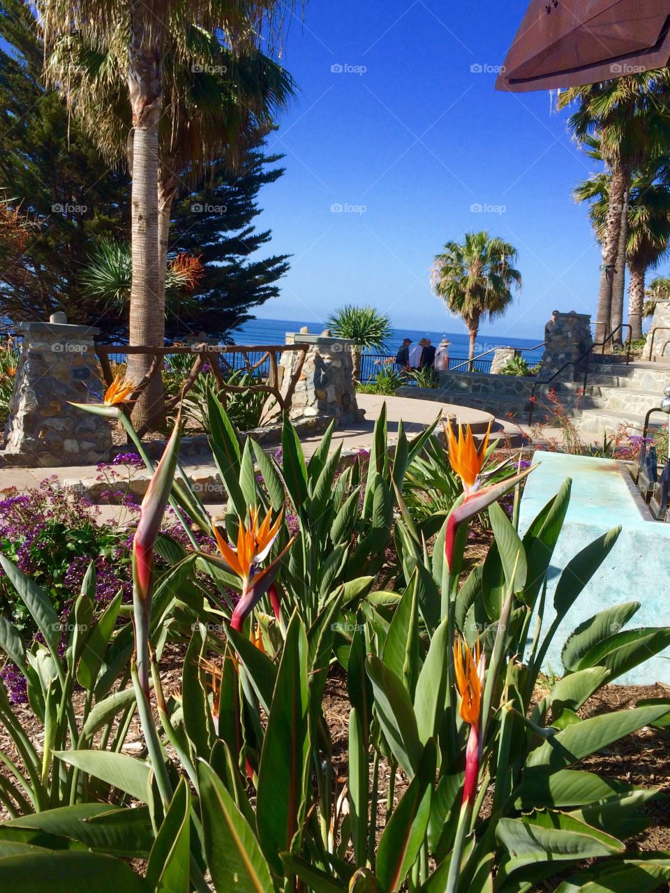Heisler Park, Laguna Beach, California. Heisler Park, Laguna Beach, California