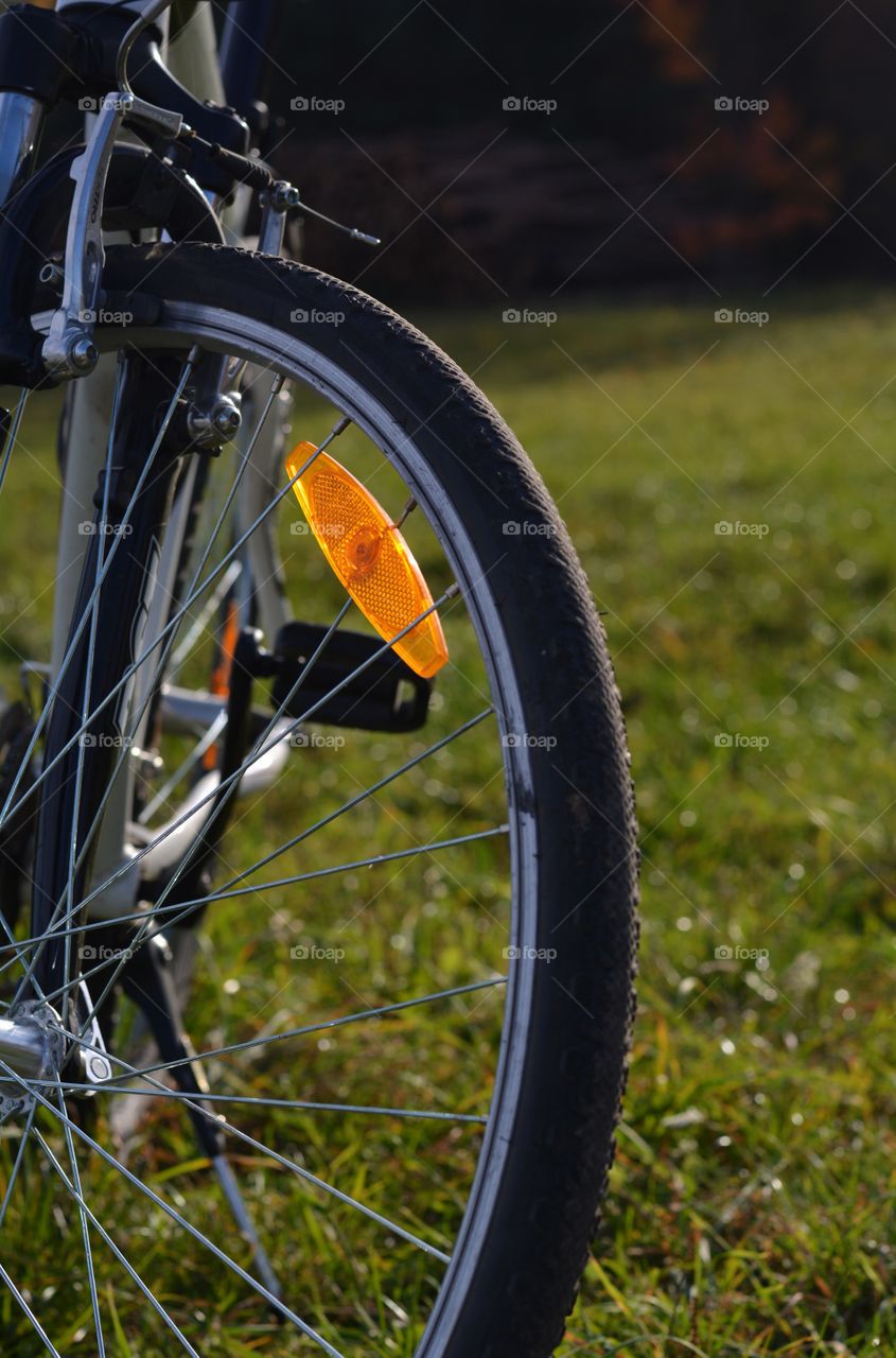 bike wheel view on a green grass background