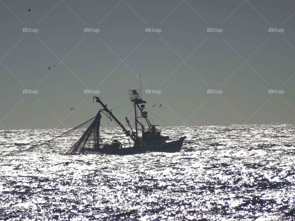 Monterey Sardine Fleet