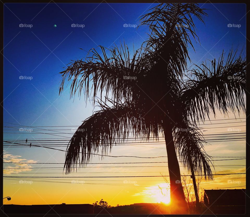 Fui suar com esse #amanhecer. Hoje, 10k com a #alvorada me acompanhando!
🌴 
#sol
#sun
#sky
#céu
#photo
#nature
#manhã
#Jundiaí
#morning
#natureza
#horizonte
#fotografia
#paisagem
#inspiração
#mobgraphy
#FotografeiEmJundiaí