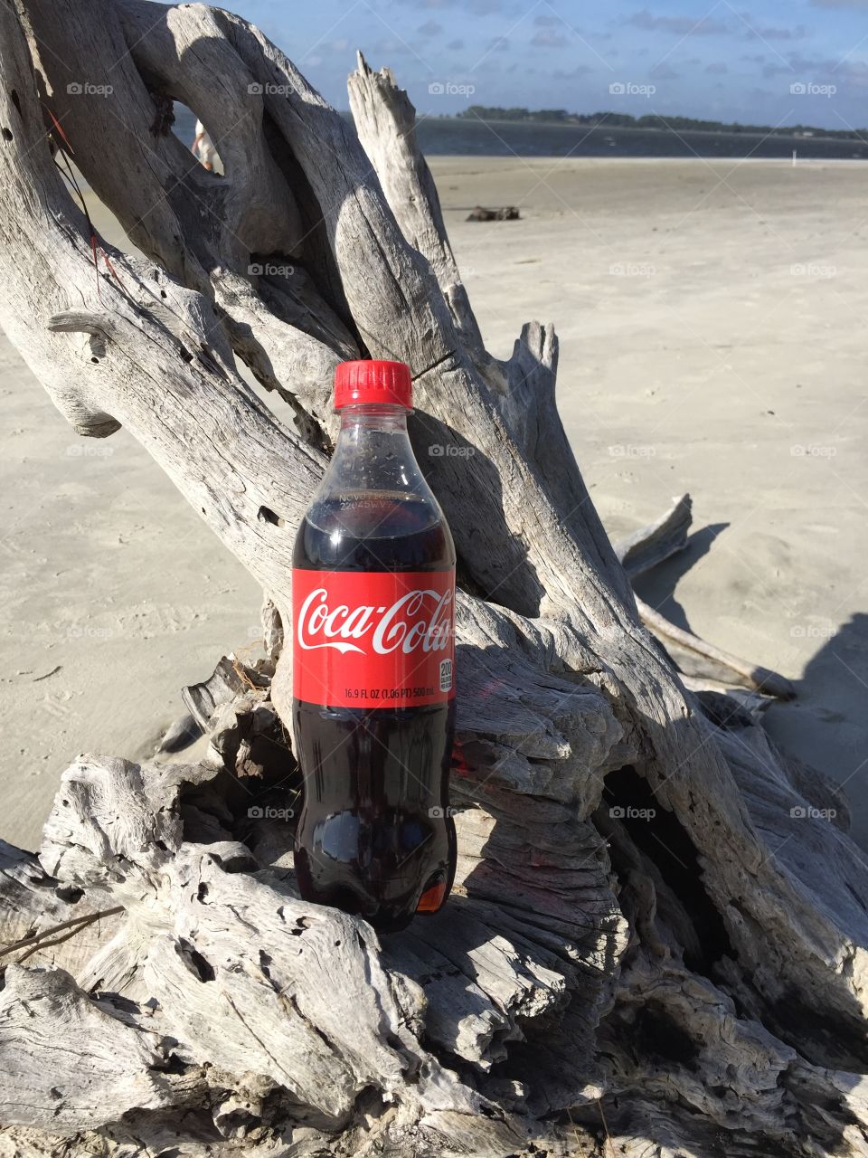 Coca-Cola on Driftwood