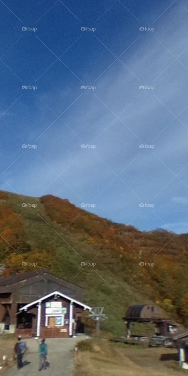 Sắc màu trên đồi.