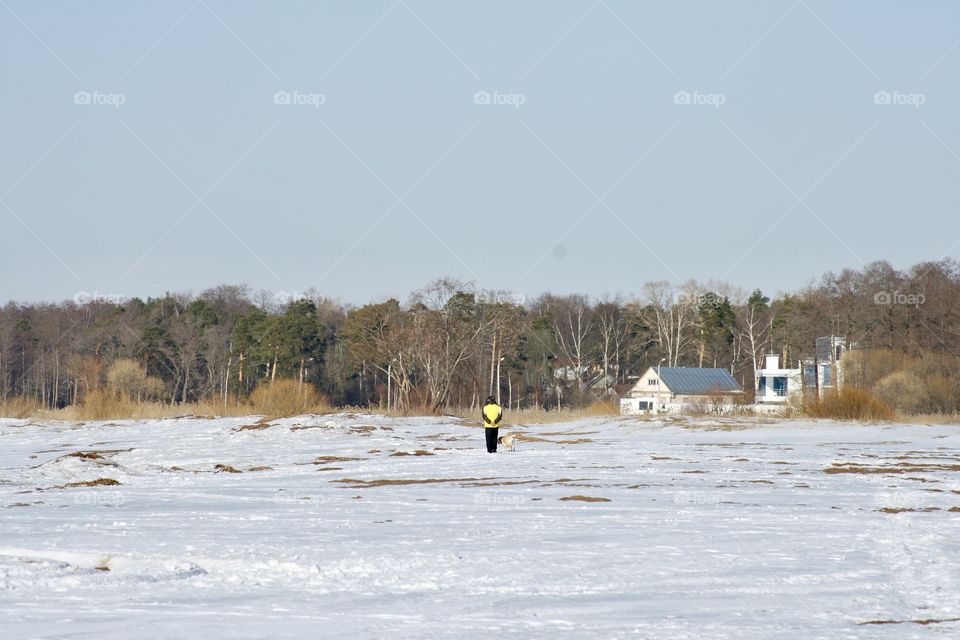 Winter Landscape 