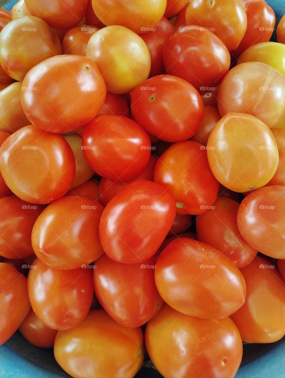 red tomato seasonal fresh vegetables and use in salad, and mix well with other vegetables
