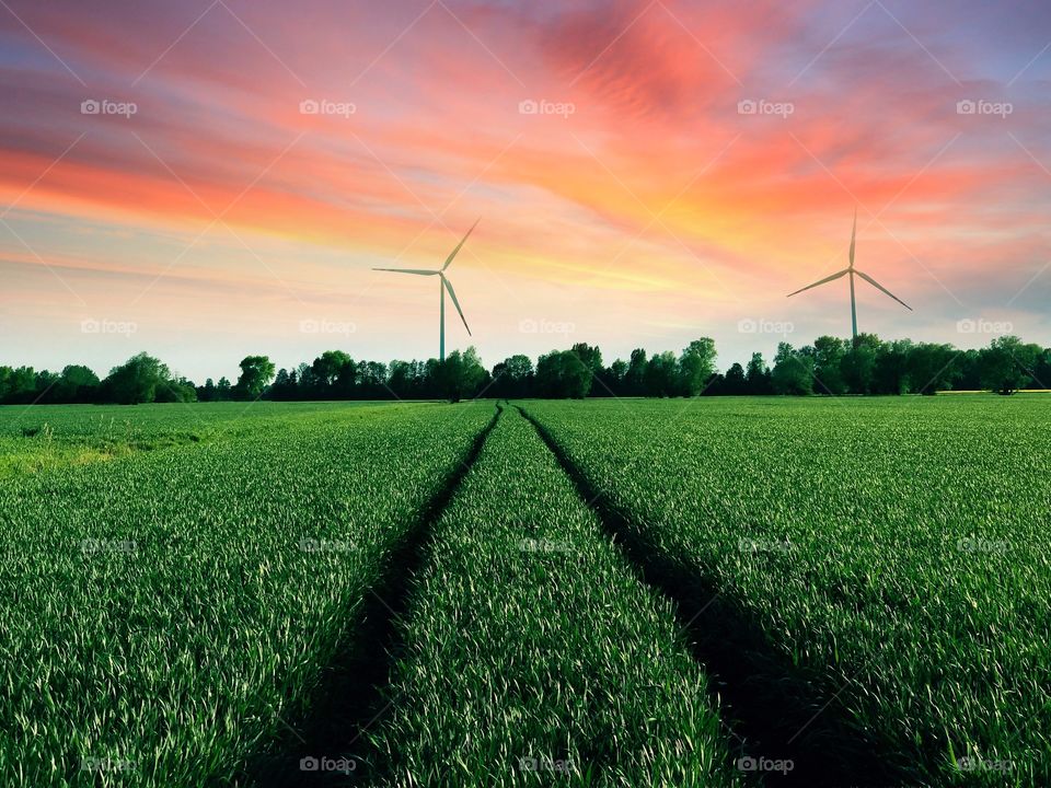 Agriculture, Farm, Field, Rural, Countryside