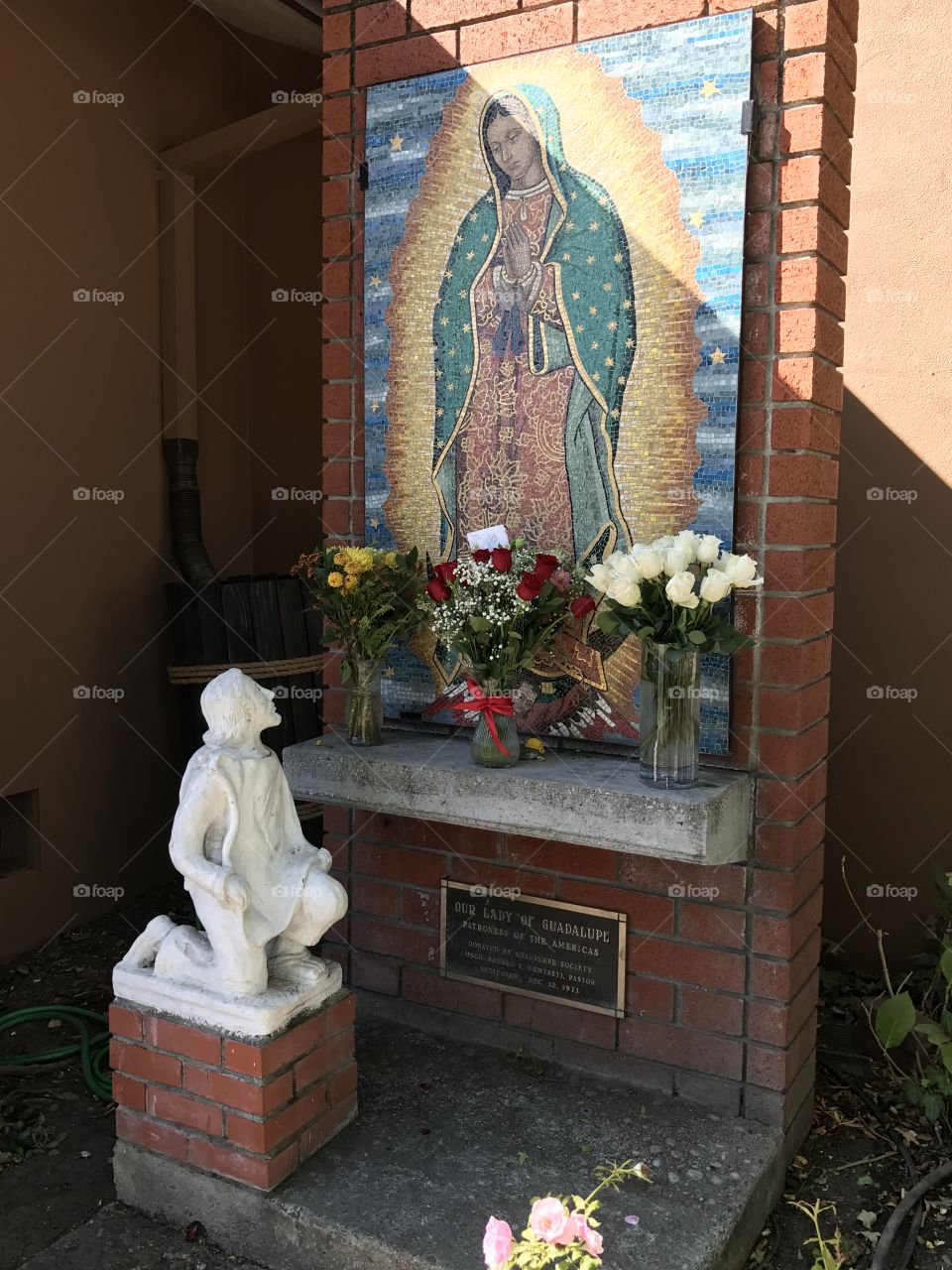 Virgin of Guadalupe 