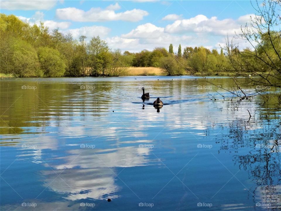 Between water and sky 