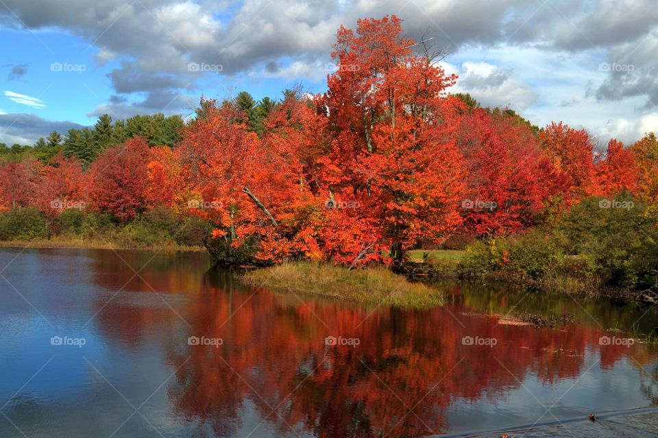 Autumn trees reflecting on river