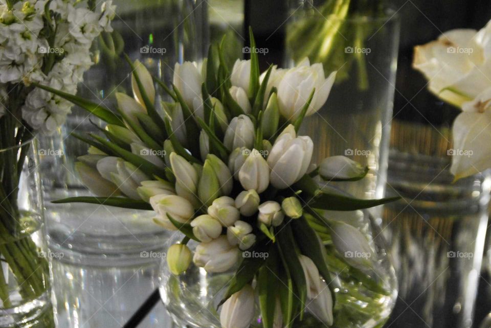 Flower, Nature, Bouquet, Vase, Wedding