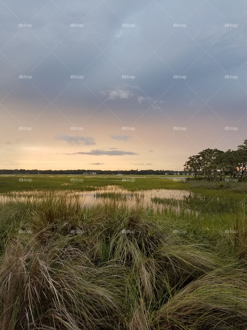 Broad Creek sunset