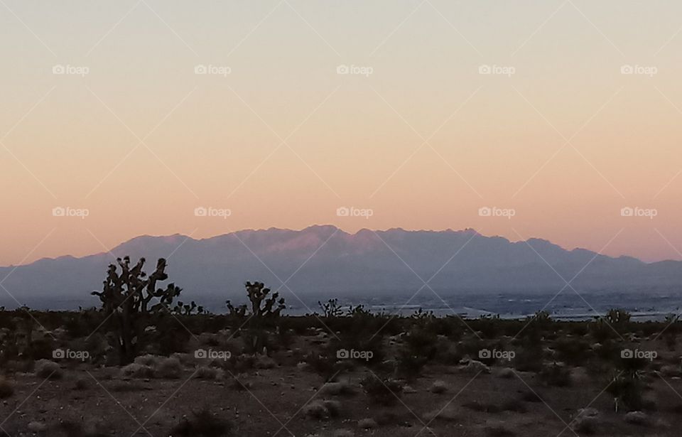 desert at dawn