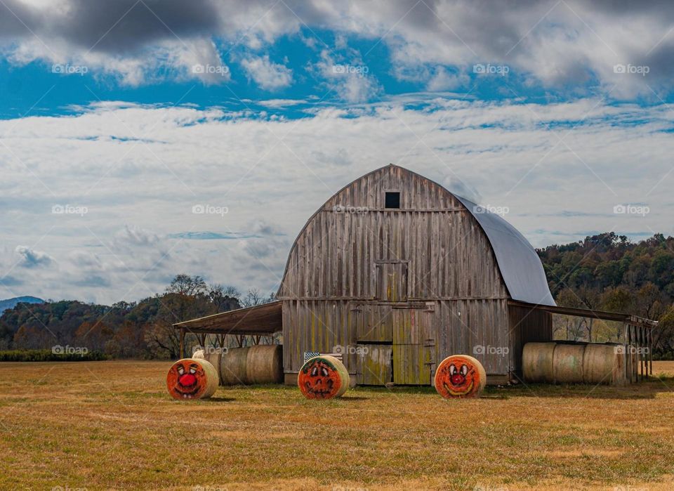 Pumpkin Hay Rolls in front of Barn