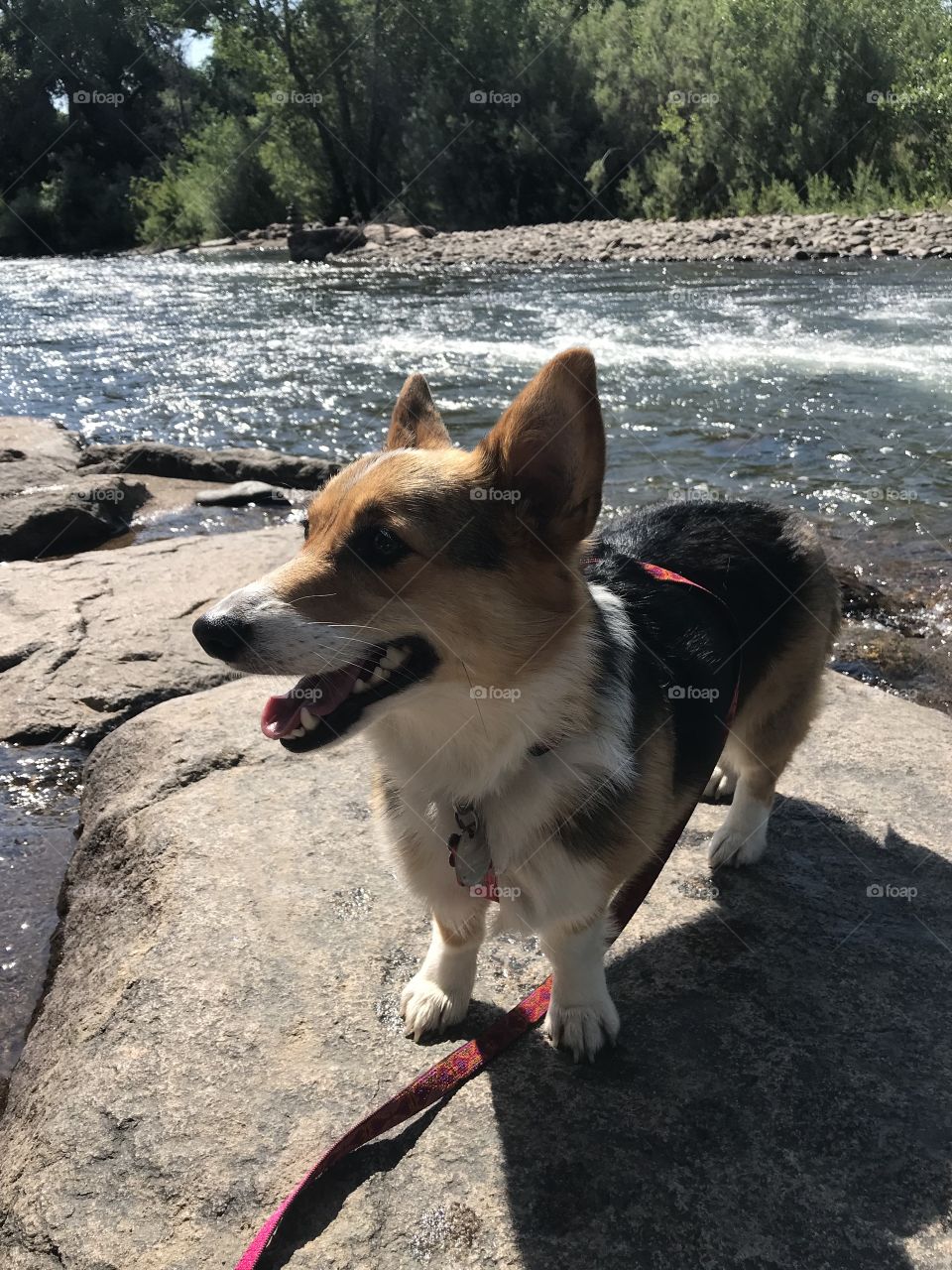 Clear Creek River Vacation July 2018