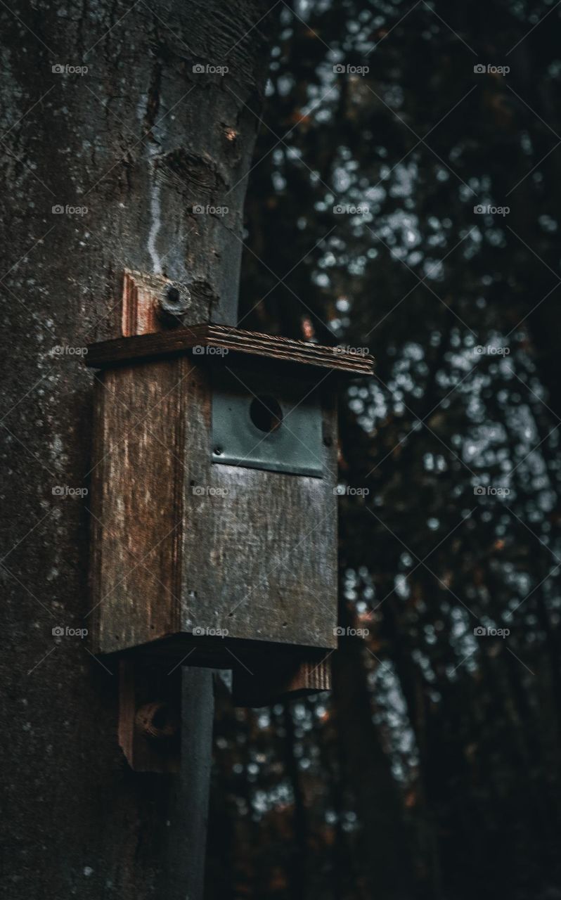 One wooden homemade birdhouse for milking birds hangs on a tree staole in the forest, close-up side view.