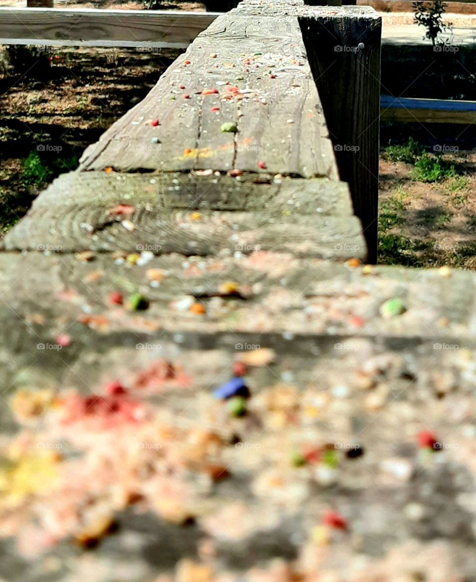 remnants of the birds breakfast on the deck rail