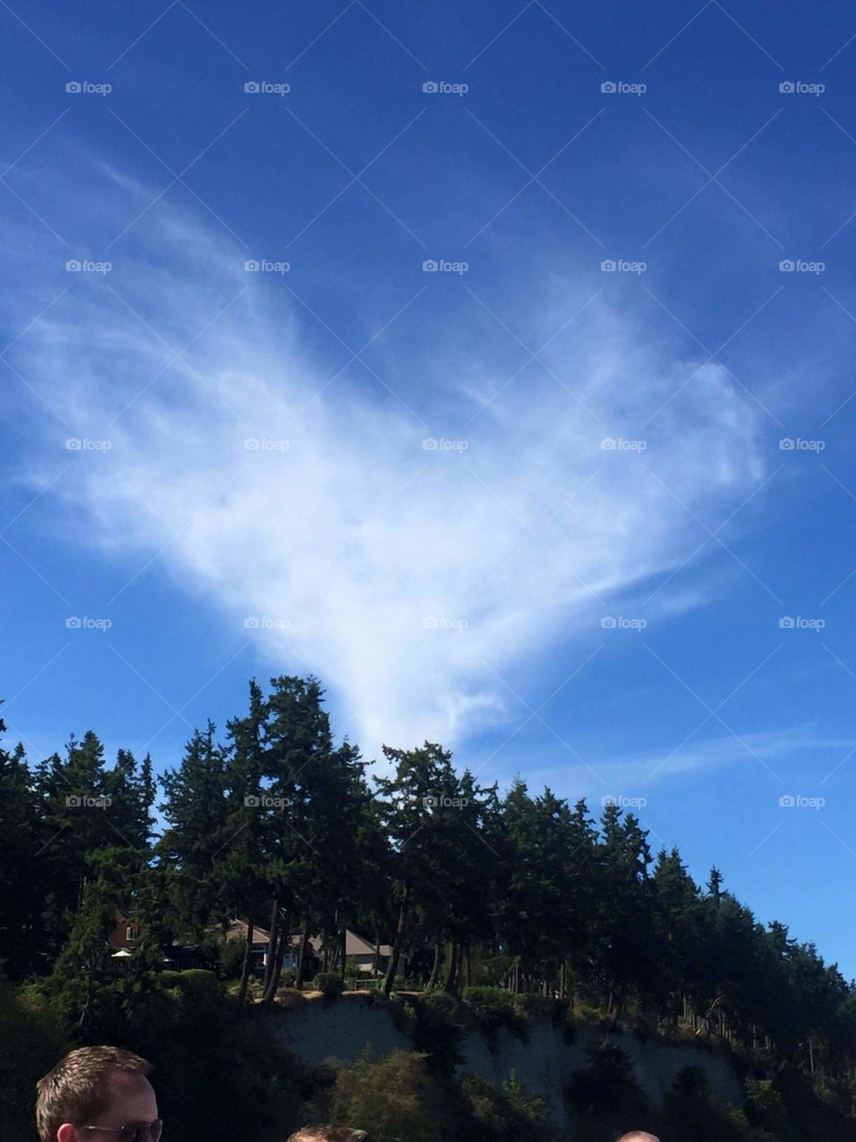 Nature's heart above a wedding