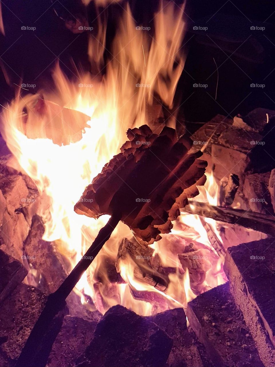 pork ham skewers on a campfire