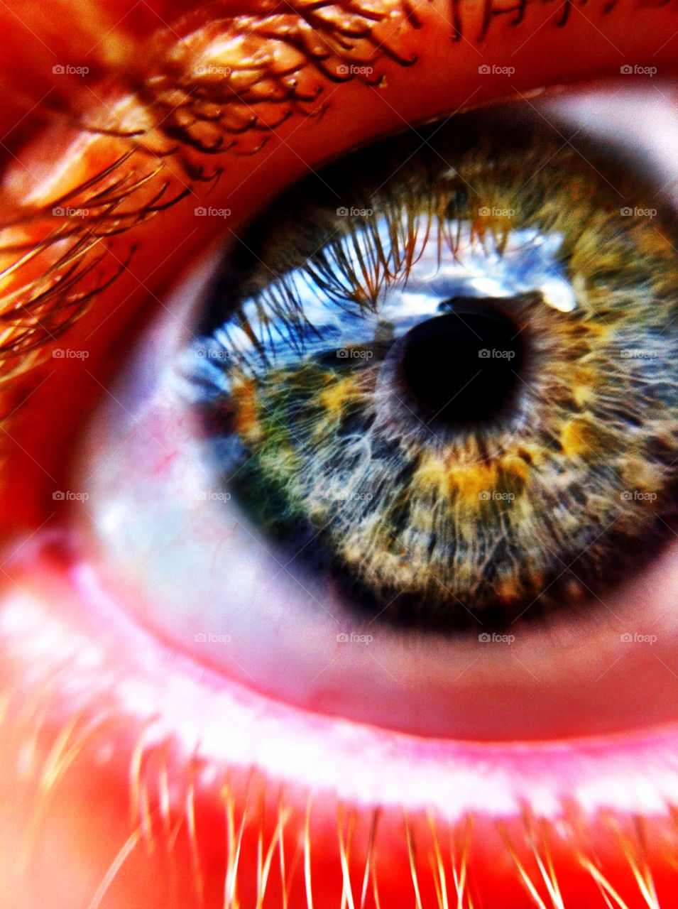 macro heaven eye blank by ka71