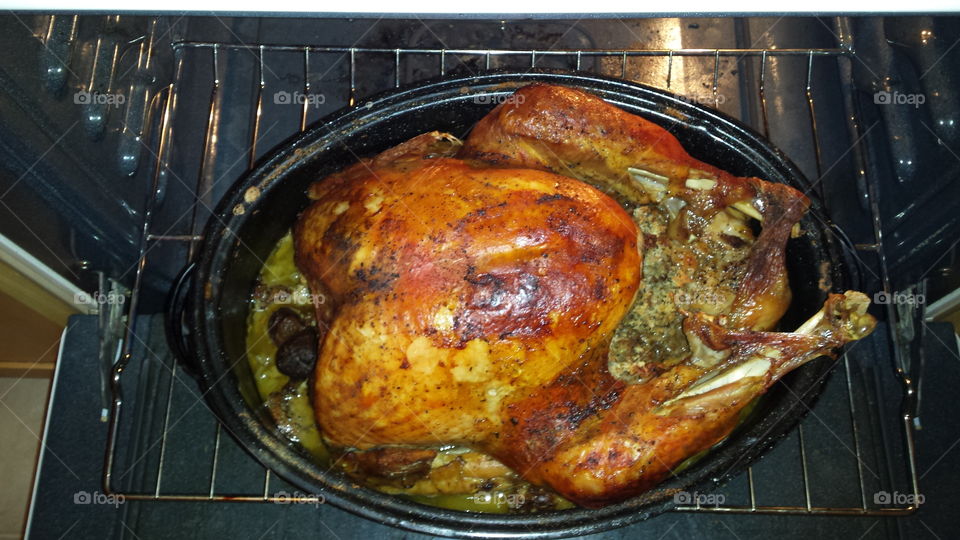 thanksgiving turkey with newfoundland  savory dressing