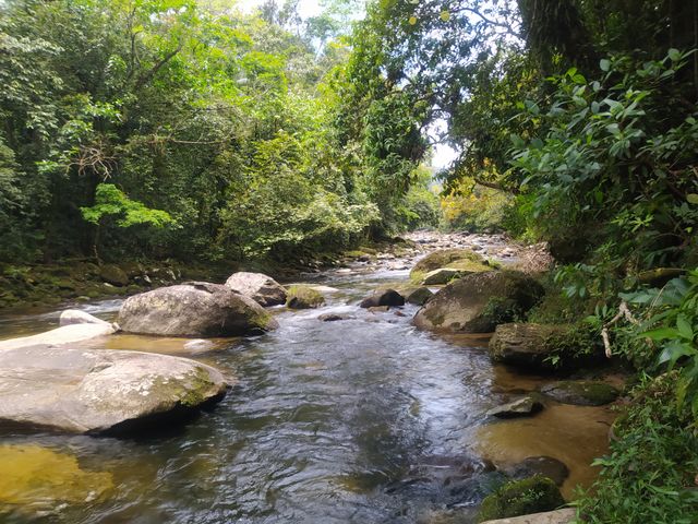Natureza no litoral norte brasileiro