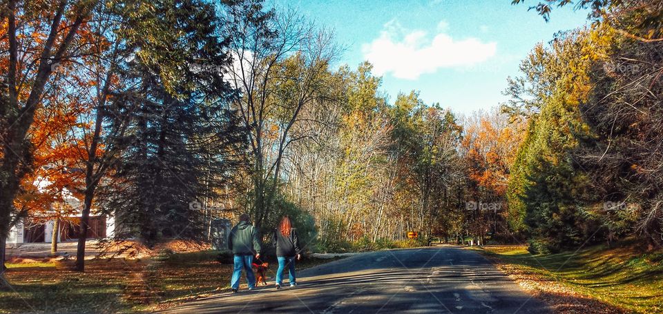 Enjoying an Autumn Day. Walking the Dog