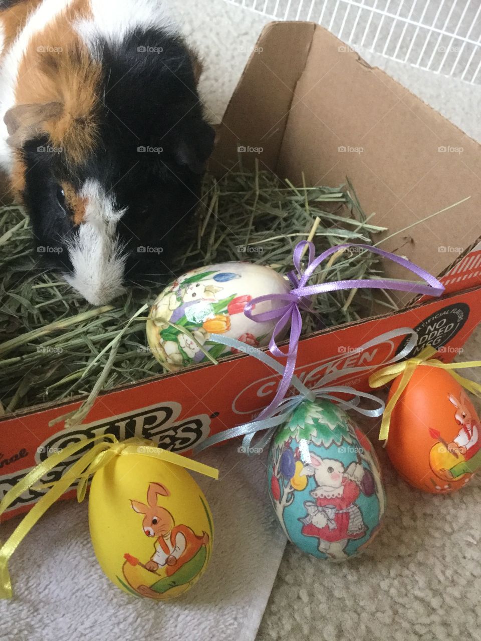 Easter, Egg, Nest, Easter Egg, Celebration