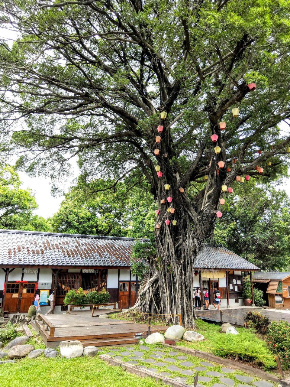 your local treasures: Taichung shiyakusho, Japan style architecture was conserved and repaired, has many related activities, especially Judo & kendo. also includes many other items.