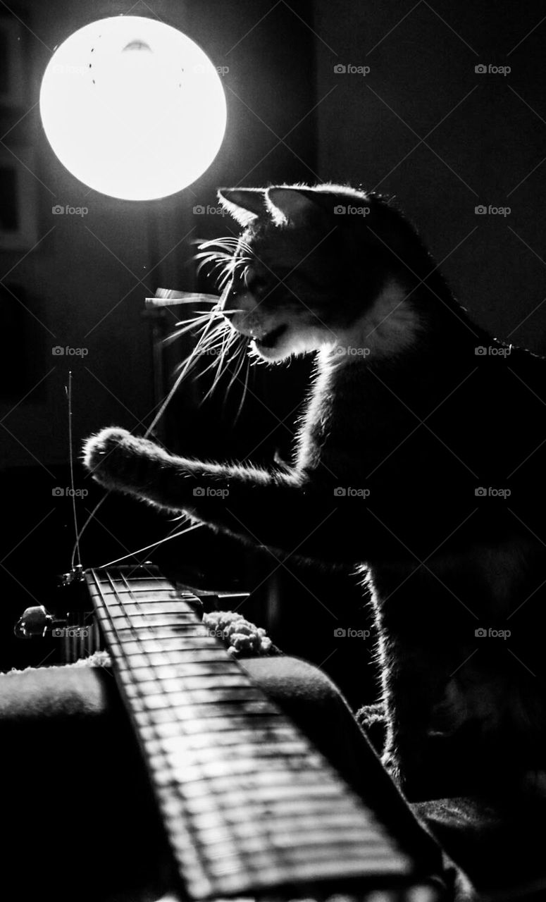 Mustaches, strings and devil ears