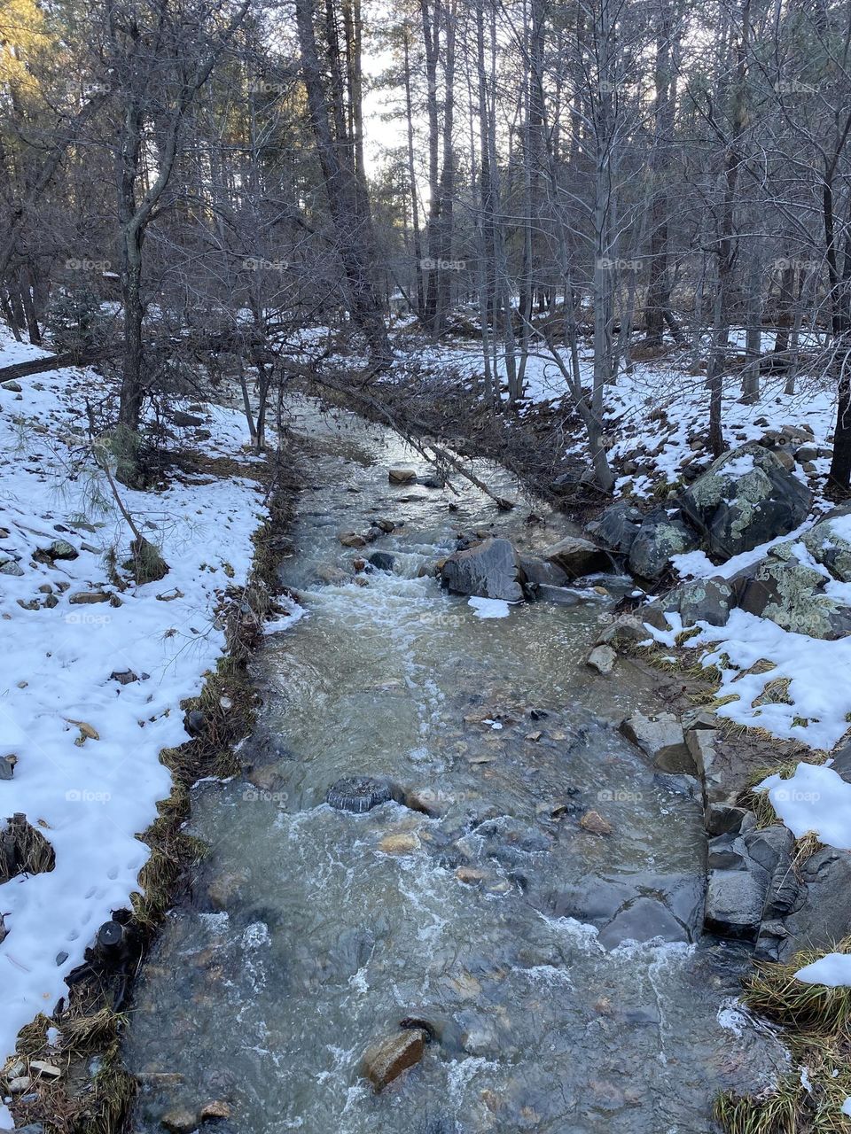 A winter creek