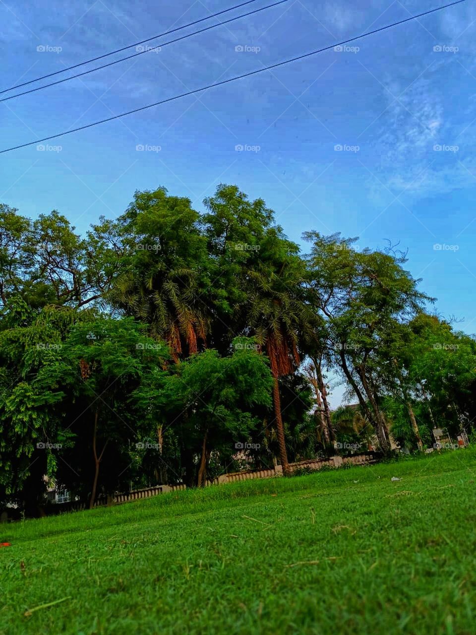 The park in the photo looks so peaceful and green! It seems like a perfect spot to relax and enjoy nature. 🌳✨