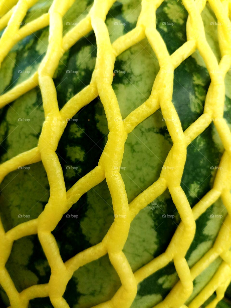 watermelon in yellow net