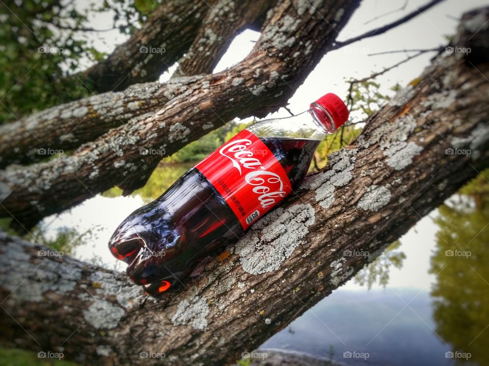 Coca-Cola