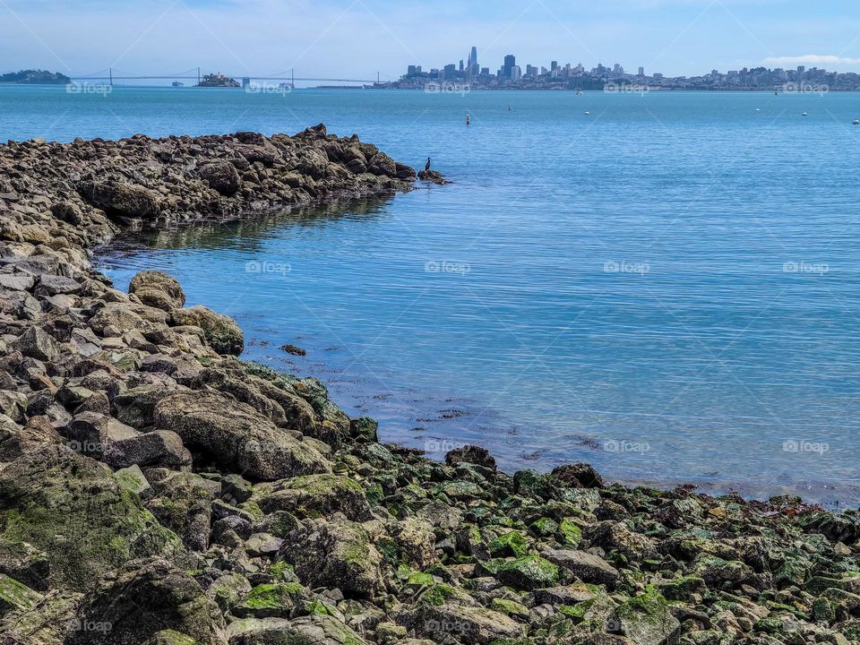 View of San Francisco from Sausalito California, moss covered rocks in the foreground with the beautiful ocean 