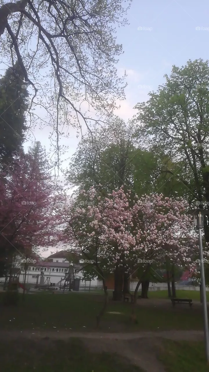 Natur Park 