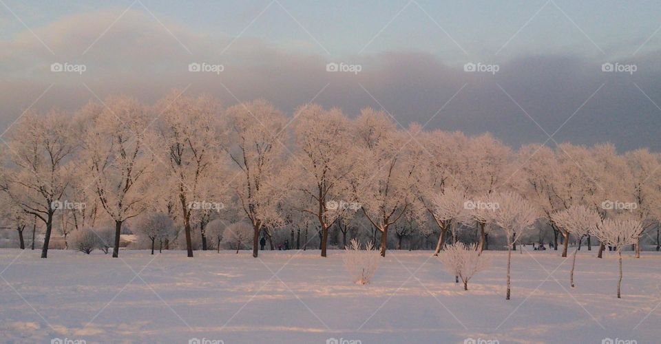 Winter landscape in the setting sun❄️☀️