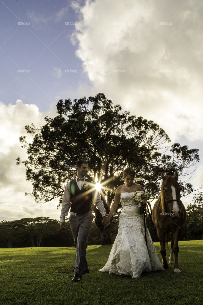 People, Wedding, Tree, Grass, Girl