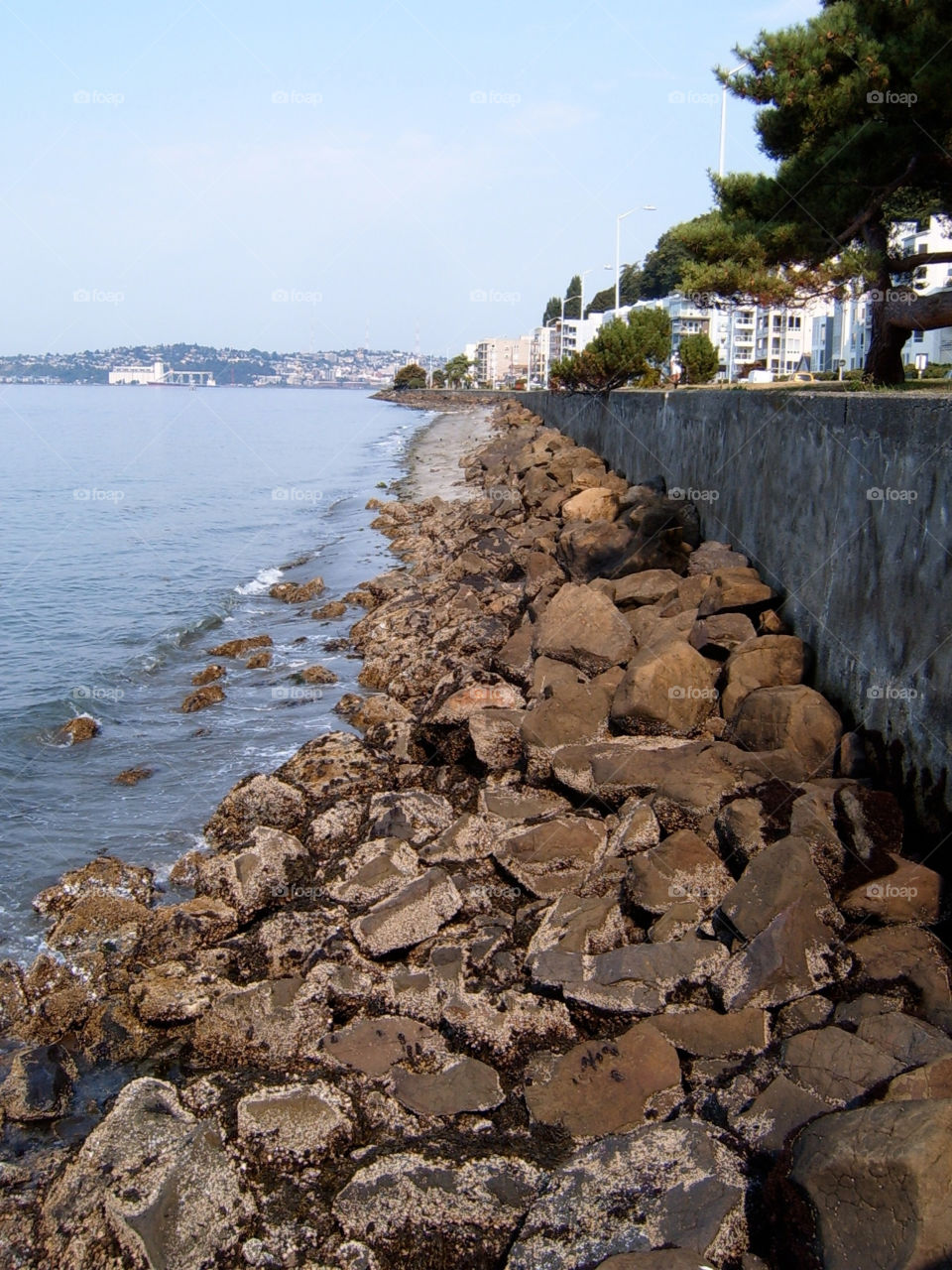 ocean italy city wall by webtaskic