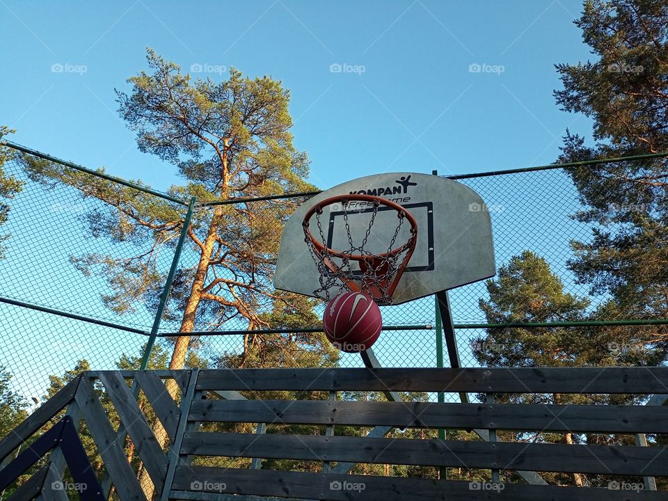 basket
