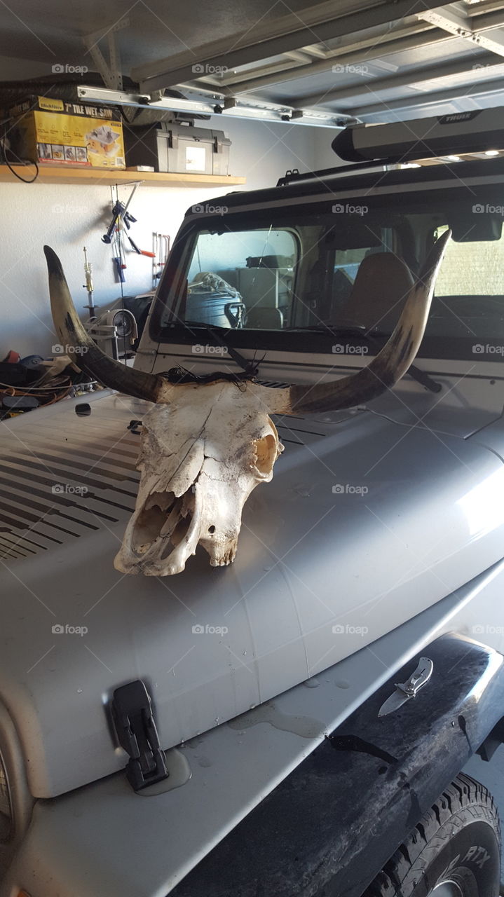 Boss hog jeep,  long horn skull