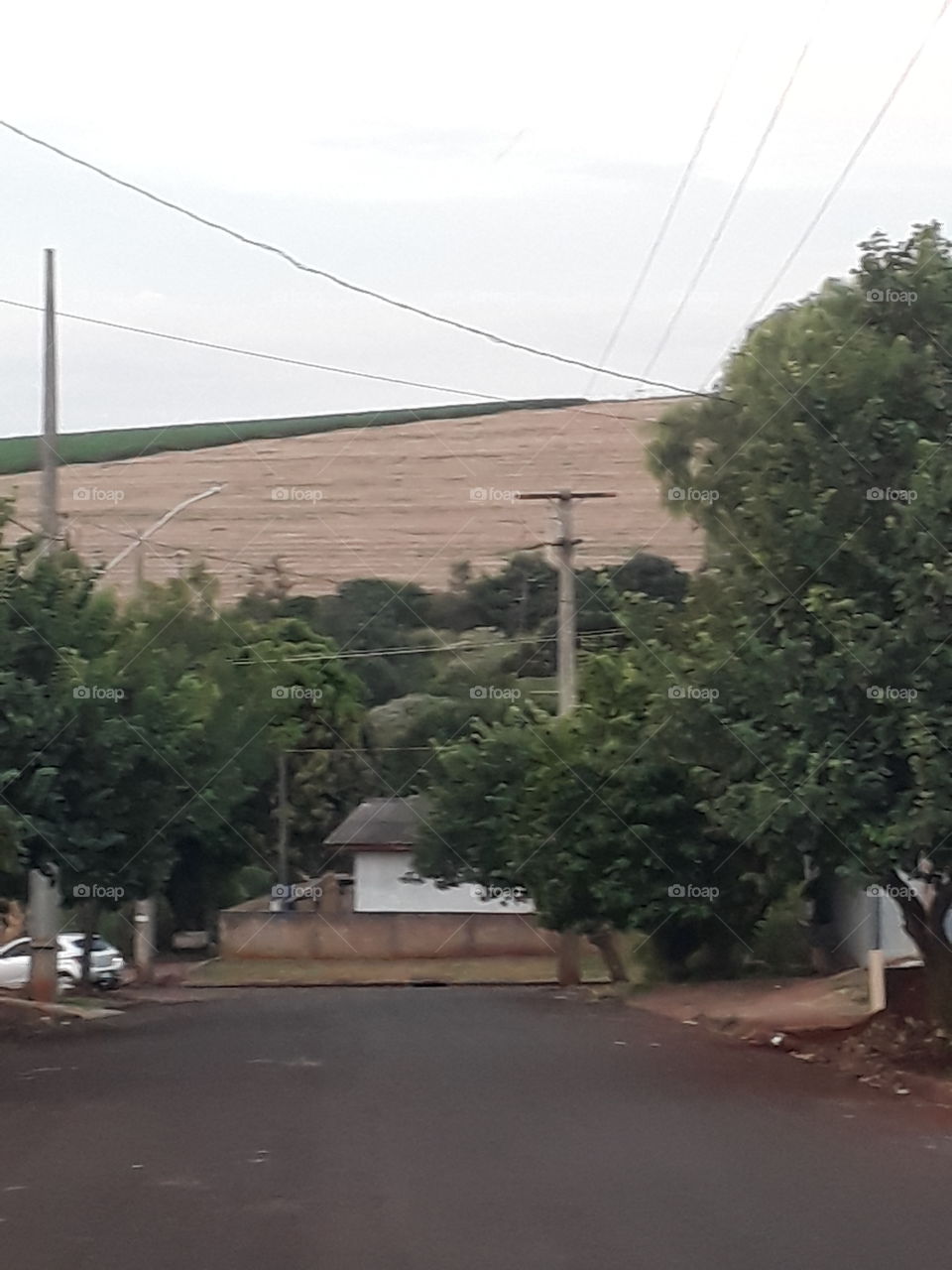 Cafelândia Paraná Brasil