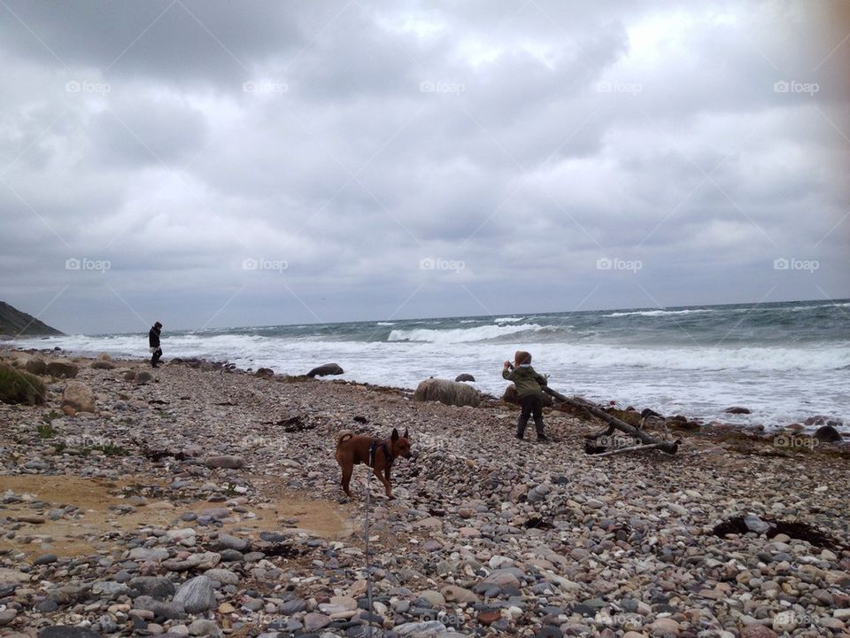 Boy with dog on beach