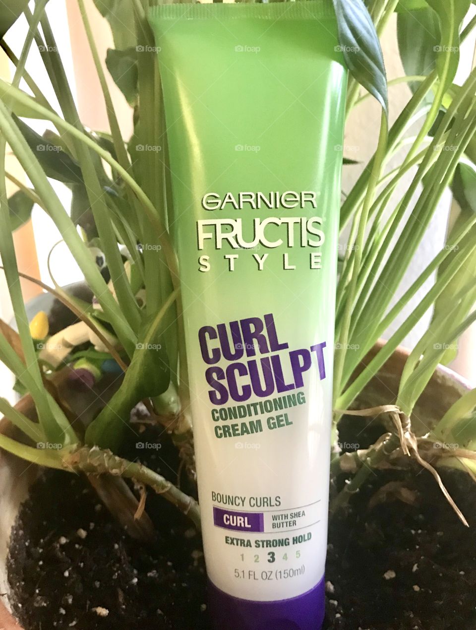 Curl sculpt with green potted plant