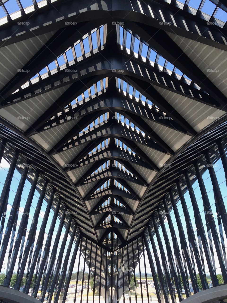 Ceiling of the entrance hall to Lyon's airport 