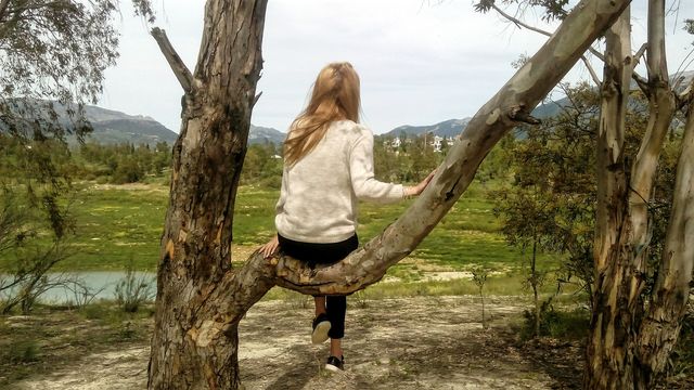 Sitting on tree branch looking at landscape