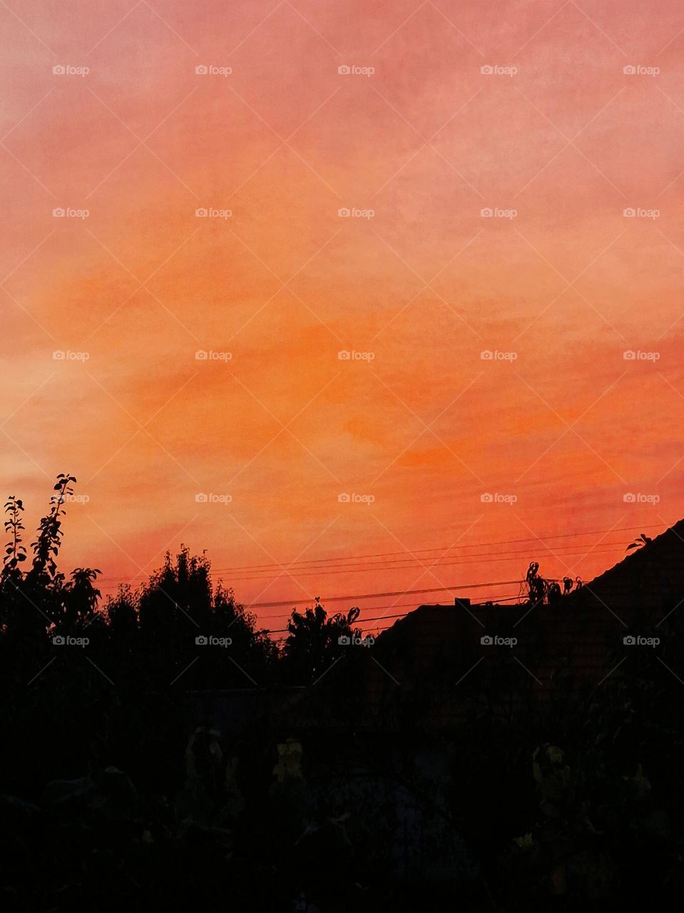 orange sky